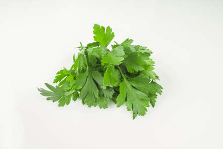 Bunch of Parsley isolated on whiteの写真素材