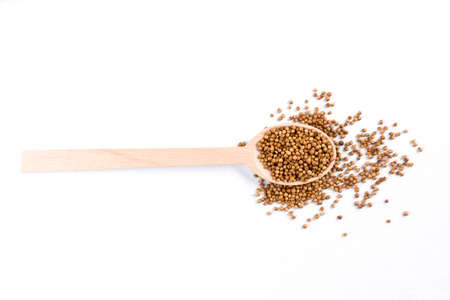 coriander seeds in wooden spoon isolated on white background. top viewの写真素材