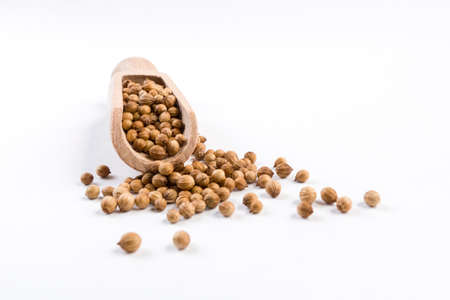 coriander seeds in wooden scoop isolated on white background.の写真素材