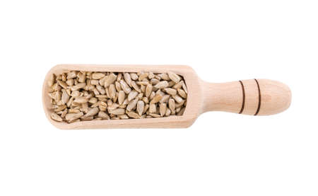 sunflower seed in wooden scoop isolated on white background.の写真素材