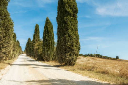 Typical landscapes for Siena Province in Tuscany, Italy. Cypress hills, plowed fields, roads and houses. Begining of autumn season.の写真素材