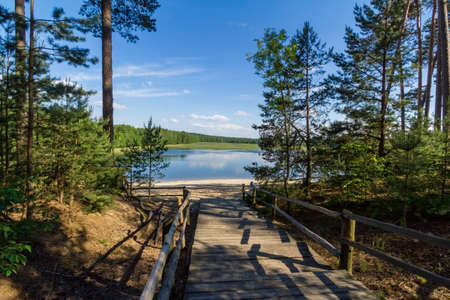 Echo artificial lake pond in Zwierzyniec, Roztocze National Park, Poland.の写真素材