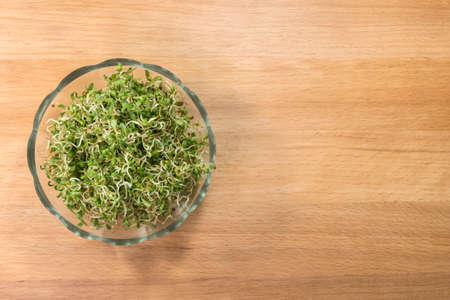 lucerne alfalfa  in glass bowl on wooden background. nutrition. food ingredient.の写真素材