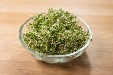 lucerne alfalfa  in glass bowl on wooden background. nutrition. food ingredient.の写真素材