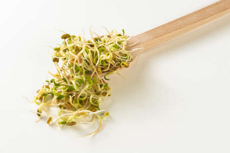 radish sprouts in wooden spoon against white backgroundの写真素材