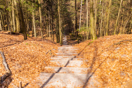 Path through Beech Mountain Reserve - in polish Bukowa Gora - in Zwierzyniec, Roztochia region in Poland.の写真素材
