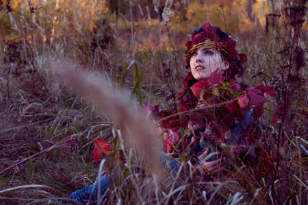 beautiful brunette in the autumn lightの写真素材