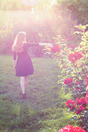 Young woman with auburn hair walking near rose bushes in the sunset lightの写真素材