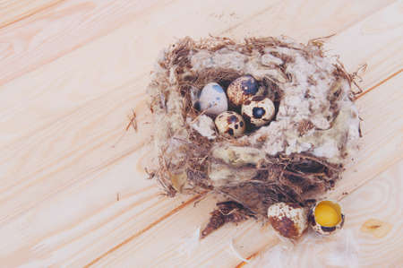 Quail eggs in the nest on wooden tableの写真素材