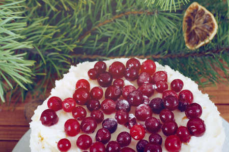 Holiday layered cake with cream and cranberry decoration under christmas treeの写真素材