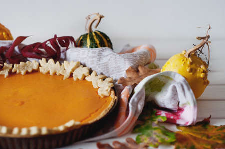 Three different kinds of decorative multicolored small pumpkins surrounding pumpkin pie. Autumn seasonal traditional food.の写真素材