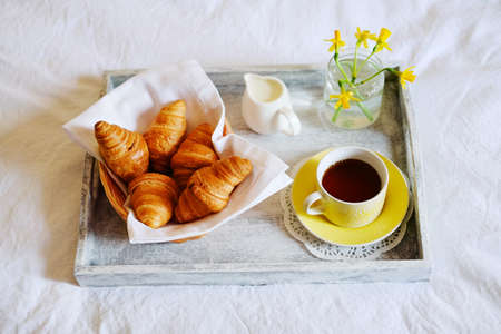 Breakfast in bed. Romantic meal in gray wooden tray with croissants, cup of tea and narcissus flowers.の写真素材