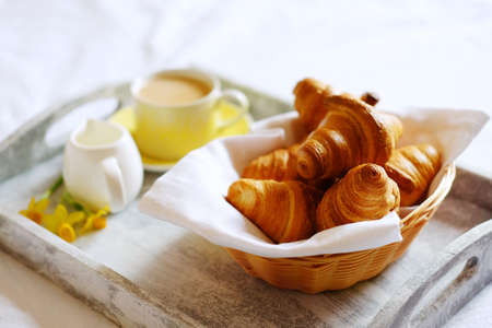 Breakfast in bed. Romantic meal in gray wooden tray with croissants, cup of tea and narcissus flowers.の写真素材