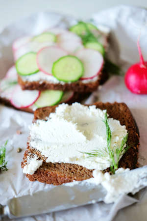Healthy vegetarian sandwiches with radish and cucumber slices on wholemeal bread with cottage cheese and dillの写真素材