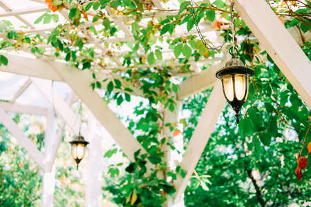 Beautiful lantern in the garden outdoor in the wooden white gazeboの写真素材
