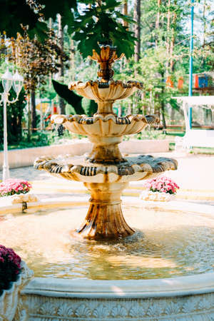 Nice cozy European yard with bench and small fountain