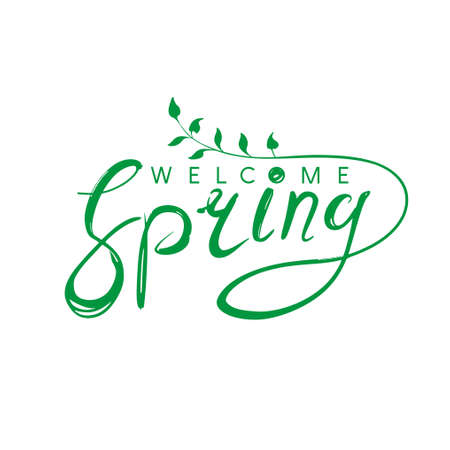 Welcome spring handwriting design. Vector green template isolated on white background.のイラスト素材