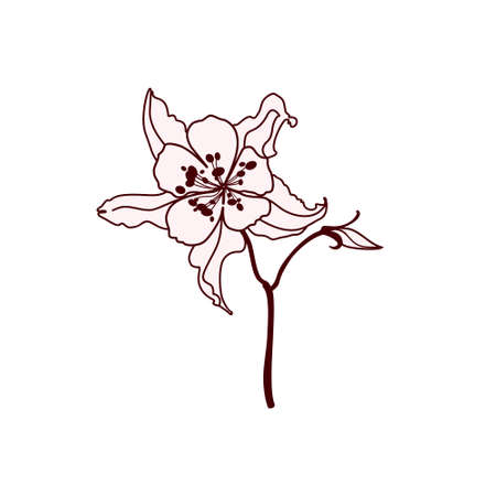 Beautiful spring delicate flower.のイラスト素材