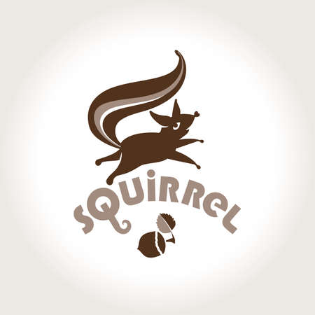 Squirrel. Vector template jumping squirrel and nutlet. Logo squirrel.のイラスト素材