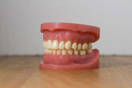 Set of artificial lower and upper jaw false teeth viewed low angle across a wooden table with...