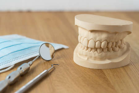 Dental mold showing the teeth of the upper and lower jaw with dental tools and a face mask on a wooden table in a dental care and examination conceptの写真素材