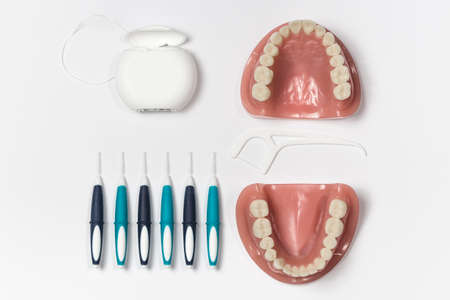 Upper and lower dentures displayed alongside dental floss and six cleaning picksの写真素材