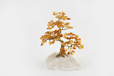 Amber treeの写真素材