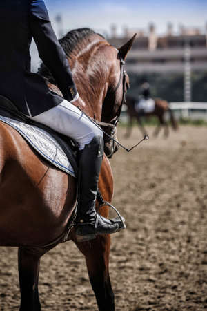 rider competing in dressage test classic, Andalusia, Spain