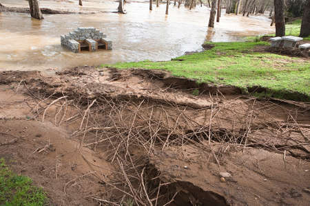 Tree roots exposed due to soil erosion