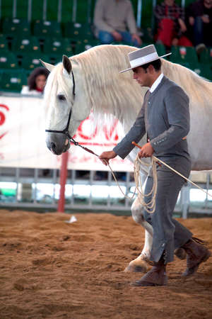 Equestrian test of morphology to pure Spanish horses, Spainのeditorial素材