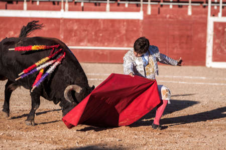 Beas de Segura, Jaen province, SPAIN - 11 october 2009  Bullfighter Alberto Lamelas bullfighting knees with your right hand gives a pass with the muleta in a very complicated position in the Bullring of Beas de segura,  Jaen province, Andalusia, Spainのeditorial素材