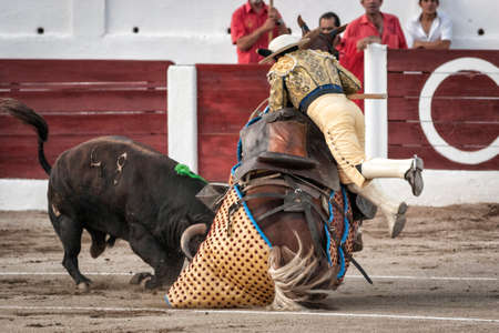 Linares, Jaen province, SPAIN - 28 august 2011  Brave bull of black color and 640 Kg knocks down the...