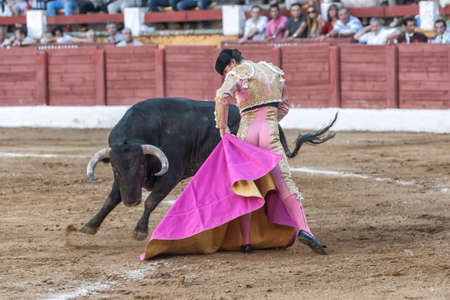 Andujar, Jaen province, SPAIN - 10 september 2011  Spainish bullfighter Daniel Luque bullfighting with a crutch in a beautiful pass by low in the Bullring of Andujar, Jaen province, Andalusia, Spainのeditorial素材