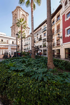  Granada, SPAIN - 16 february 2013  Tower of the cathedral view from the Romanillas square, granada, Andalusia, Spainのeditorial素材