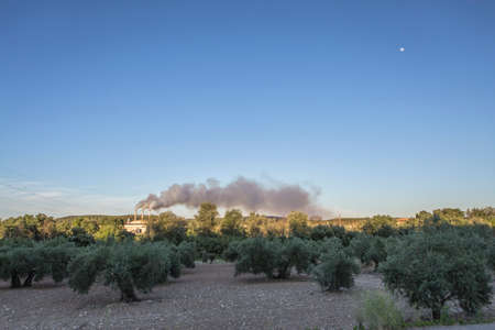 Chimney expelling pollutant gases to the air, between planting of olive trees, Jaen Spainの写真素材