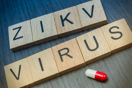Zica virus, written in letters wood, concept health remedyの写真素材