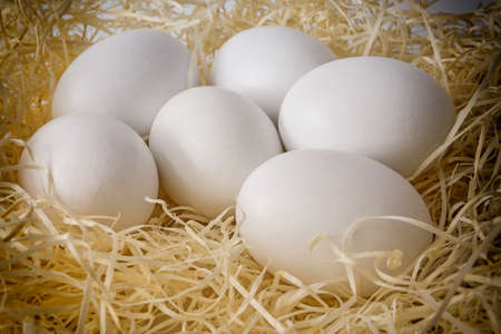 Close-up white chicken eggs on a bed of straw
