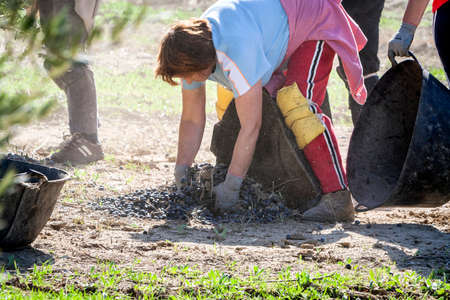 Jaen, Spain - January 2008, 23: Women farmers during the campaign of olive in a field of olive...