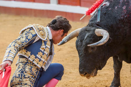 Pozoblanco, Spain - September 23, 2011: The Spanish Bullfighter David Fandila El Fandi bullfighting with the crutch, a few inches of the bull's head in the Bullring of Pozoblanco, Spainのeditorial素材