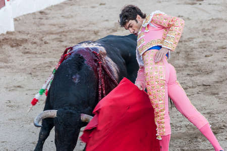 Linares, SPAIN - August 29 2014: The Spanish Bullfighter Jose Tomas bullfighting with the crutch in the Bullring of Linares, Spainのeditorial素材