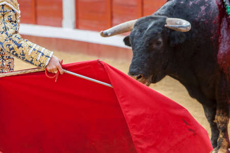Bullfighter bullfighting with the crutch in the Bullring, Spainのeditorial素材