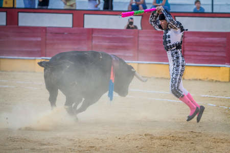 Pozoblanco, Spain - September 5, 2010: The Spanish Bullfighter with flags in each hand, classic of the taurine art movement in the Bullring of Pozoblanco, Spainのeditorial素材