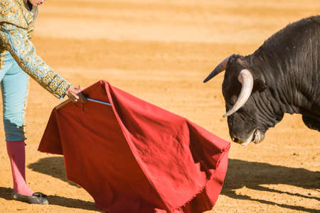 Baeza, SPAIN, June 27, 2009: The Spanish Bullfighter bullfighting with the crutch in the Bullring of Baeza, Spainのeditorial素材