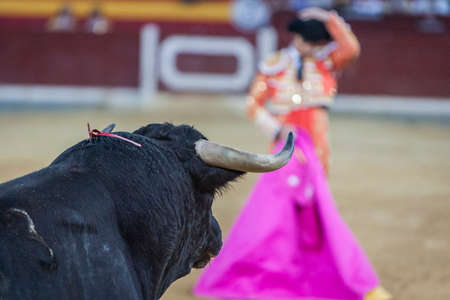 Bullfighter with the capote or cape, Spainのeditorial素材