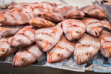 Freshly caught fish at the fish market in Cadiz, Andalucia, Spainの写真素材
