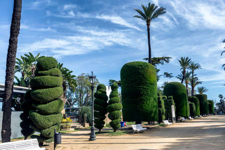 Cadiz Spain- April 1: Botanical space with exotic plants of several countries of the world, Genovese garden green park plants in Cadiz, Andalusia, Spainのeditorial素材