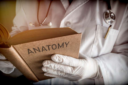 Doctor Reading Book Of Old Anatomy, Conceptual Imageの写真素材