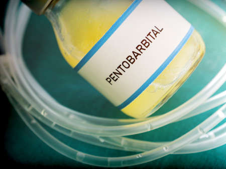 Vial with pentobarbital used for euthanasia and lethal inyecion in a hospital, conceptual imageの写真素材