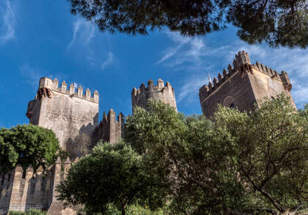 Castle of Almodovar del Rio, It is a fortitude of Moslem origin, it was a Roman fort and the current...