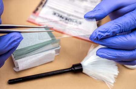 Criminalistic Laboratory, hair analysis, conceptual image